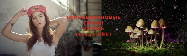 ECSTASY Алексеевка